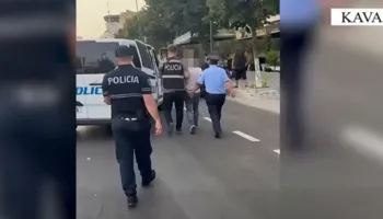 Gjykata e mbylli në burg, Melison Nela: Nuk kisha qëllim të vrisja, por armën do e hidhja në përrua