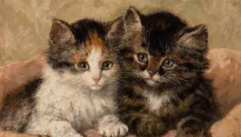 Henriette Ronner-Knip, artistja që i ktheu macet në protagoniste të artit