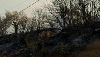 Himarë, nis vlerësimi i dëmeve pas zjarrit: Bashkia identifikon familjet e prekura