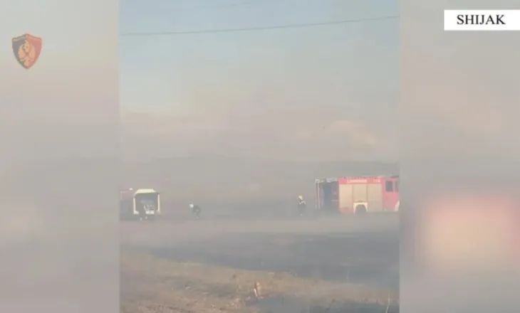 I vuri zjarrin tokës së tij dhe flakët rrezikuan banesat, arrestohet 46-vjeçari në Shijak!