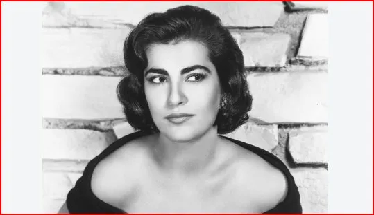 Irene Papas, një nga ikonat e kinemasë greke