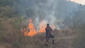 Izolohet zjarri në Kropisht të Selenicës, digjen 27 hektarë me shkurre dhe pemë