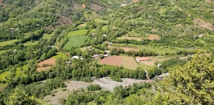 Kabashi dhe rrenat e mesuesit Petrit Gjini si vazhdues i mentorit të tij