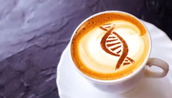 Kafeina aktivizon një sistem të lashtë qelizor që mund të ngadalësojë plakjen