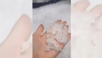 Kapriçot e motit, gjysmë ore breshër në zonat e Devollit, dyshohet për dëme të mëdha në bujqësi