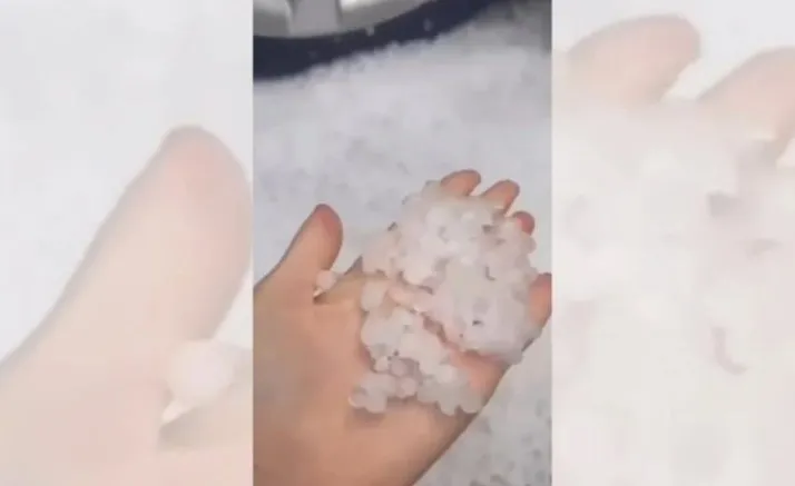 Kapriçot e motit, gjysmë ore breshër në zonat e Devollit, dyshohet për dëme të mëdha në bujqësi