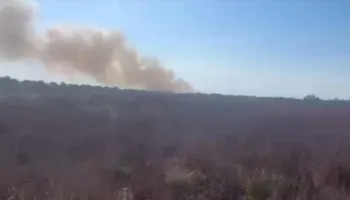 Katër vatra zjarri në pyllin e Semanit, flakët përhapen me shpejtësi nga era e fortë