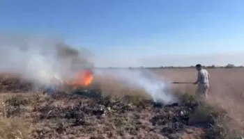 Katër vatra zjarri në pyllin e Semanit, flakët përhapen me shpejtësi