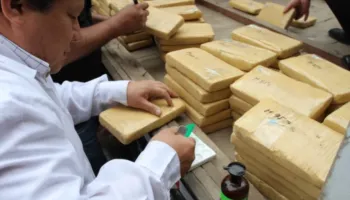 Kokaina tejkalon naftën, Kolumbia përballet me një rekord të frikshëm të ekonomisë së drogës