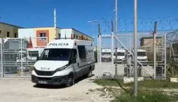 “Kopsht zoologjik në burgun e sigurisë së lartë”- Gazetari bën deklaratëne  fortë: Luanë, pitbulla dhe arinj nëpër qeli, e suita që jepen me qira!