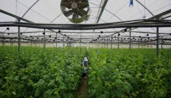 Kriza e thellë/ Punësimi në rënie, bujqësia dhe industria humbin mijëra vende pune