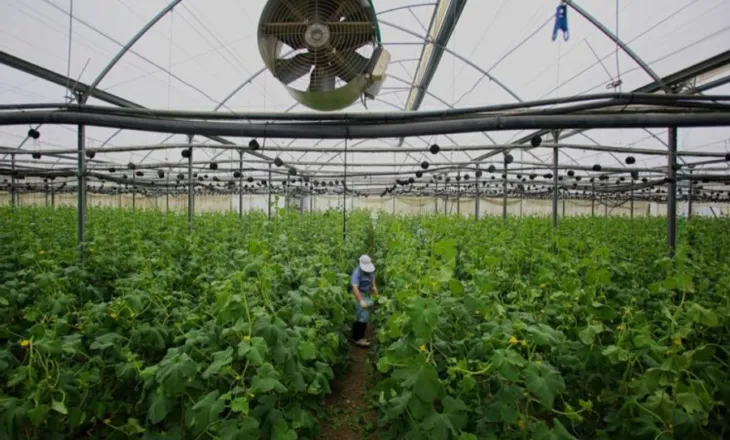 Kriza e thellë/ Punësimi në rënie, bujqësia dhe industria humbin mijëra vende pune