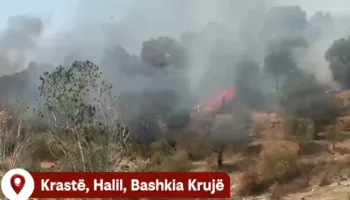 Krujë – Zjarret rikthehen në Halil dhe Krastë, Kalaja: Banorët po luftojnë vetë me flakët