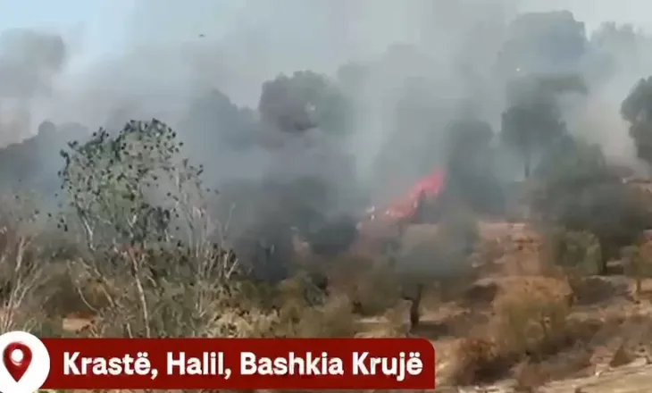 Krujë – Zjarret rikthehen në Halil dhe Krastë, Kalaja: Banorët po luftojnë vetë me flakët