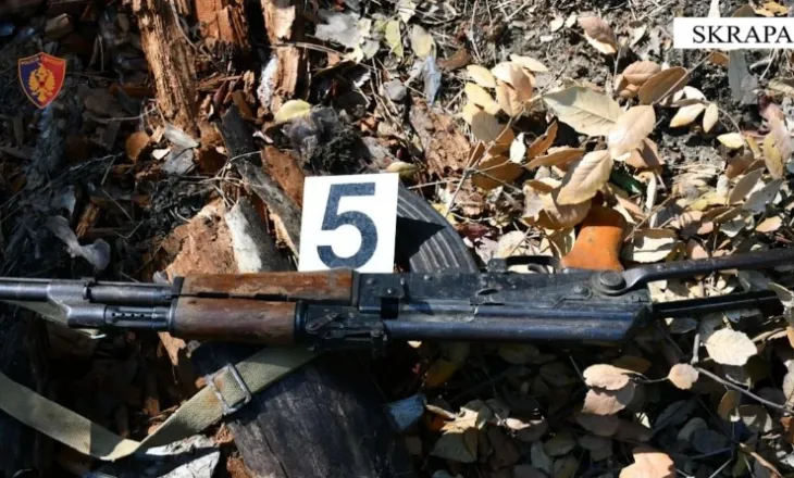 Kultivonin kanabis në pyjet e Skraparit, në pranga 22-vjeçari, bashkëpunëtori arratiset i armatosur!