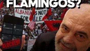 Kush po i mbyll profilet e protestuesve në Instagram? Rama-Demokratëve Evropianë: S’kemi asnjë lidhje, turp për propagandën
