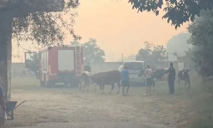 Levani në flakë, tre banesa përfshihen nga zjarri, banorët evakuohen