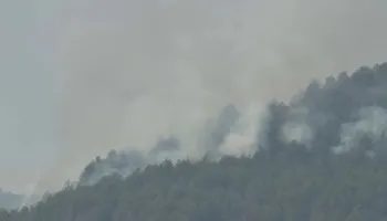 Lezhë, riaktivizohen vatrat e zjarrit në fshatin Kalivaç, nis ndërhyrja nga ajri me helikopter!