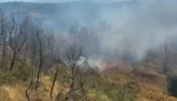 Mallakastër, zjarri del jashtë kontrollit në Çërrilë, era vështirëson ndërhyrjen