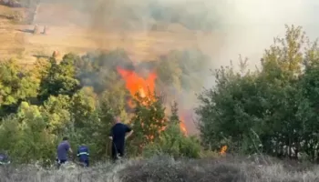 Mat, ekipet zjarrfikëse ndërhyjnë për shuarjen e flakëve