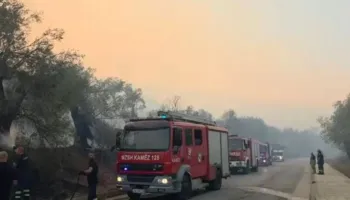 Mbi 6 mijë rrënjë ulliri shekullorë të djegur nga zjarri! Përmirësohet situata me flakët në Himarë, banorët apelojnë për ndihmë
