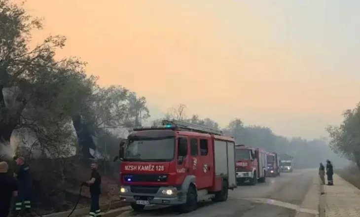 Mbi 6 mijë rrënjë ulliri shekullorë të djegur nga zjarri! Përmirësohet situata me flakët në Himarë, banorët apelojnë për ndihmë