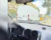 Me makinë mbi trotuar duke bërë video për TikTok, gjobë shoferit në Berat! I hiqet patenta