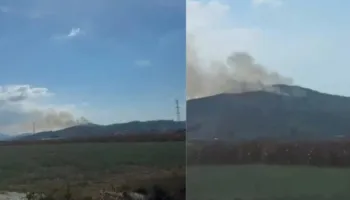 Më shumë se tri orë luftë me flakët, shuhet zjarri i rrezikshëm në Bunavi të Vlorës! Dëme të mëdha në pemëtari, hetime për shkakun