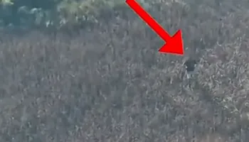 Ministri publikon videon se si kapet nga droni personi që vendos zjarrin…