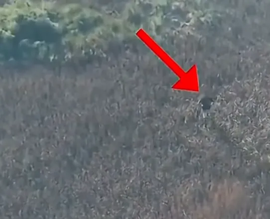Ministri publikon videon se si kapet nga droni personi që vendos zjarrin…