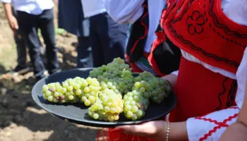 Ministria e Kulturës mbështet Hardh Festin në Rahovec