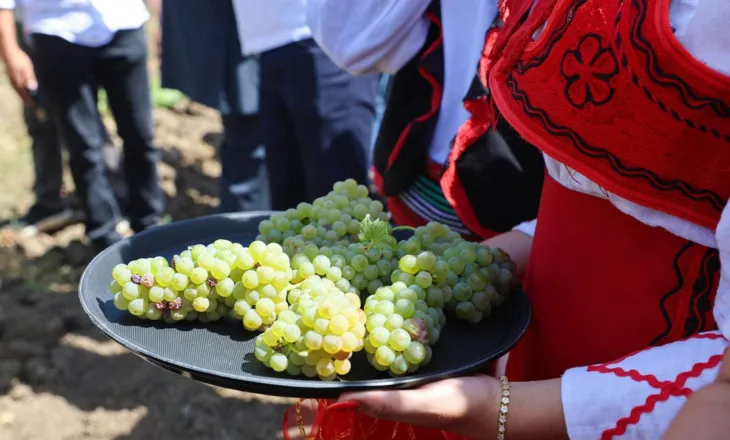 Ministria e Kulturës mbështet Hardh Festin në Rahovec