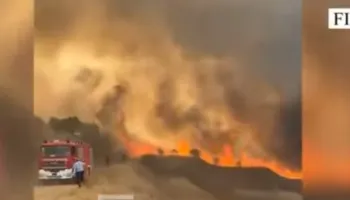 Ndezën dy nga zjarret dje në Fier, arrestohet në flagrancë një piroman i dyshuar, një tjetër merret nën akuzë!