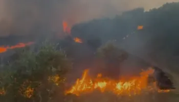 Ndezën zjarre në Fier, arrestohen 2 persona, 1 persona procedohet në gjendje të lirë (EMRAT)
