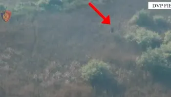 Ndezën zjarre në Fier, kapen “mat” dy persona dhe arrestohen nga policia, nën hetim 2 të moshuar