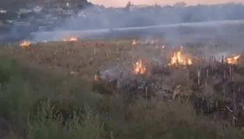 Ndezën zjarre në toka dhe zona të mbrojtura, 2 në pranga, 2 të tjerë procedohen penalisht