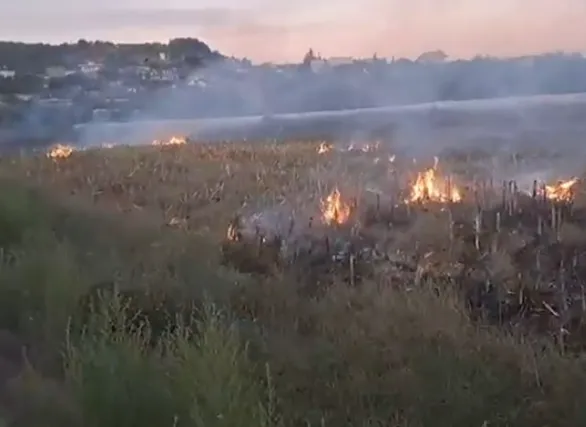 Ndezën zjarre në toka dhe zona të mbrojtura, 2 në pranga, 2 të tjerë procedohen penalisht