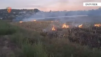 Ndezën zjarret në Fier/ Arrestohen 2 persona të dyshuar, procedohen 2 të moshuar