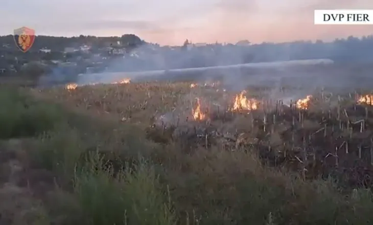 Ndezën zjarret në Fier/ Arrestohen 2 persona të dyshuar, procedohen 2 të moshuar