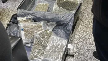 Nga Lazarati te Kanadaja: Si po ndryshon trafikimi i kanabisit në Shqipëri
