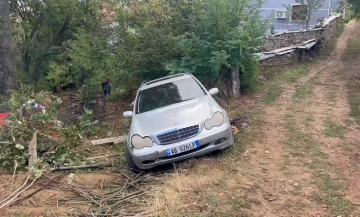 Ngjarja tragjike, policia jep detaje: Ndodhi pasi shoferi kish lënë pa siguruar frenat e dorës