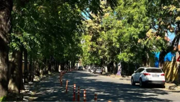 Nis krasitja e pemëve në Unazën e Vogël të Shkodrës, i paraprin rehabilitimit te plotë…