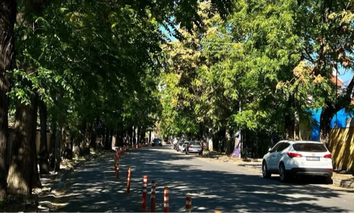 Nis krasitja e pemëve në Unazën e Vogël të Shkodrës, i paraprin rehabilitimit te plotë…