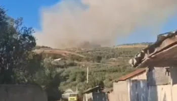Një tjetër vatër zjarri në Fier, flakët përfshijnë ullishtet e Kreshpanit