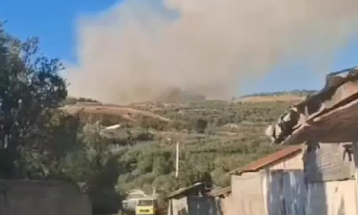 Një tjetër vatër zjarri në Fier, flakët përfshijnë ullishtet e Kreshpanit