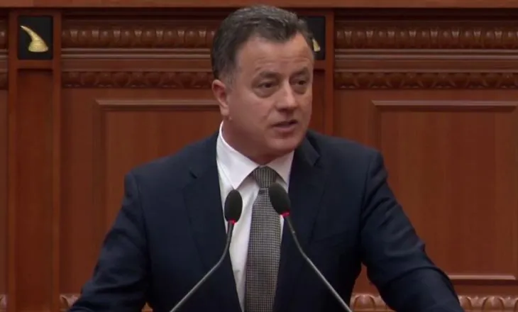 Noka në Komisionin e Sigurisë: Jemi në Republikën e Gysit dhe të karteleve