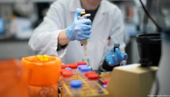 OBSH në alarm, zbulohet një koronavirus i ri te lakuriqët e natës në Brazil! Mister nëse transmetohet te njeriu, frikë për një pandemi të re?