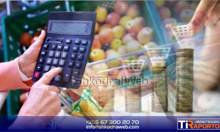 PARADOKSI – Euro po “fundoset” çdo ditë nga leku, çdo produkt na vjen nga importi, çmimet vetëm rriten…