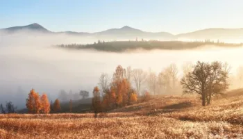 Parashikimi i motit për sot – Temperatura vjeshte