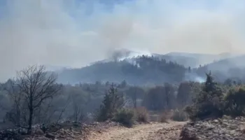 Përshkallëzohet situata e zjarreve në Kalivac të Lezhës, raportohet për djegie banesash
